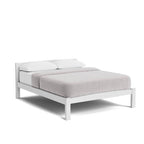 Coaster Slatframe Bed Low Foot - Double to Super King - Paulas Home & Living