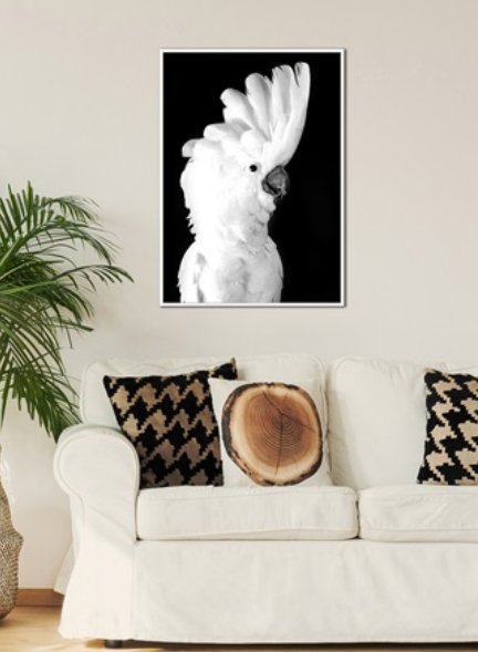 Fine Feathers - Framed Canvas Print - Paulas Home & Living